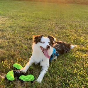 Meet your Posher, Yasmin